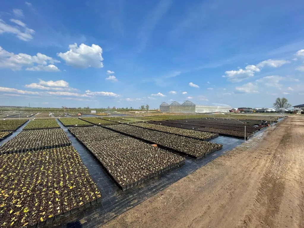 Vaade Marcinków 11 lasteaiast